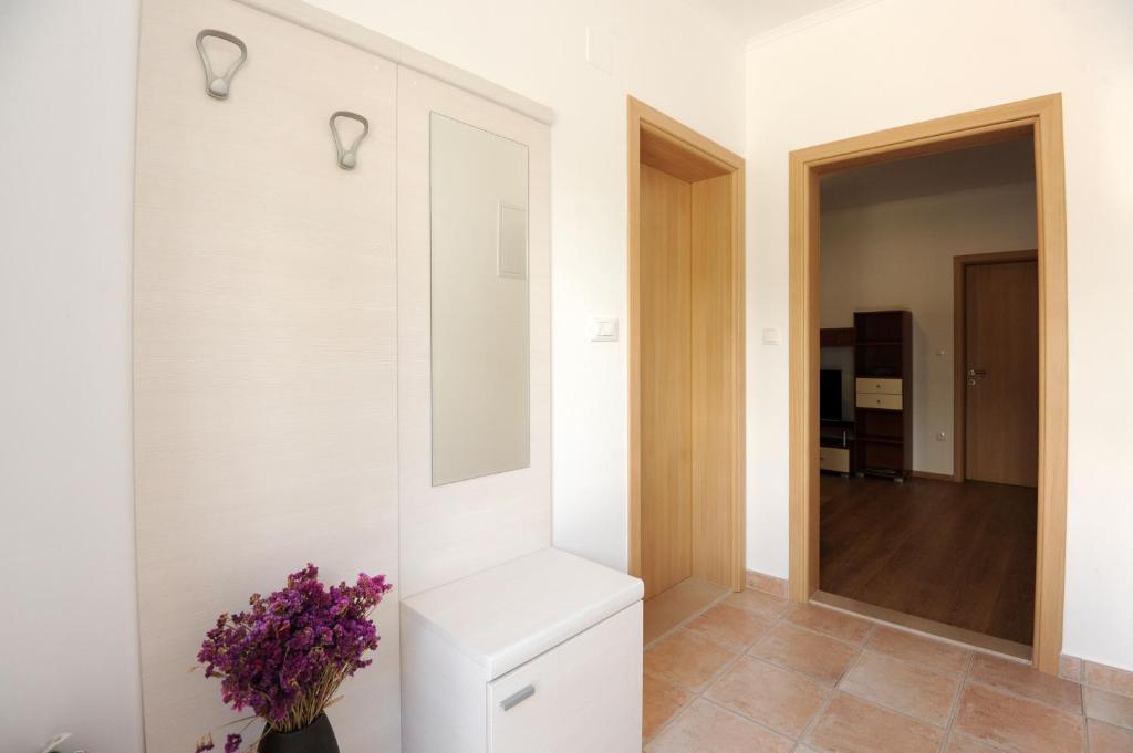 Apartments Anka ドゥブロブニク 部屋 写真